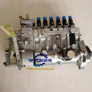 Shanghai Diesel Engine Parts 9500370673 Injection Pump For Wheel Loader SEM650