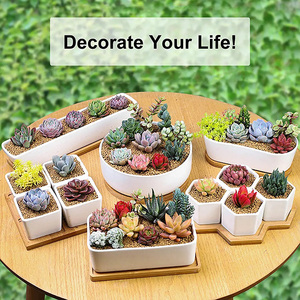 Dropshipping, maceta suculenta de cerámica blanca de 11,1 pulgadas, platillos de bambú, forma rectangular Rectangular para el hogar, jardín y oficina - Product Image 6