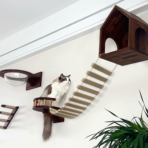 Best-selling Classic Adjustable Wooden Wall Mounted Cat Climbing <b>Frame</b> and Ladder with Eco-Friendly Design for Indoor Cats - Product Image 2