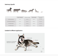 Bronchoscope vétérinaire flexible portable Mindray Vetina ES3 pour le diagnostic des petits animaux chiens et chats