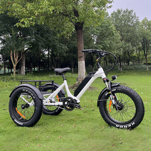 יצרן באיכות גבוהה הספק בינוני מנוע חשמלי 3 גלגל תלת אופן חשמלי עבור קשישים - Product Image 4