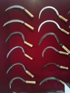 Faucille à manche en bois S202 - Product Image 2