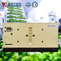 Générateur Diesel Silencieux 80KVA 64KW avec Alternateur Tout Cuivre pour Exploitation Minière, Ferme, Alimentation de Secours Extérieure, Personnalisation Disponible