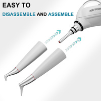 Máquina de Limpieza Dental AI-AP/APS, Blanqueamiento Dental, Limpieza Subgingival y Supragingival, Equipo Dental, Productos de Higiene Bucal