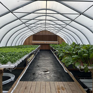 Serre agricole modulaire Skyplant à résistance au vent, de haute qualité, à simple travée, avec couverture en film PE - Product Image 6