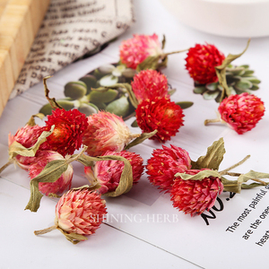 Fleur <span class=keywords><strong>de</strong></span> Qiaomei <span class=keywords><strong>rouge</strong></span> séchée (Gomphrena Globosa Linn.) Thé aux herbes naturelles pour la beauté et la détoxification, approvisionnement en vrac en provenance <span class=keywords><strong>de</strong></span> <span class=keywords><strong>Chine</strong></span> - Product Image 2