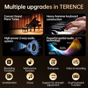 โรงงานขายส่ง รับปรับแต่ง <span class=keywords><strong>คีย์บอร์ด</strong></span>เปียโนดิจิตอลแบบพกพา 88 คีย์ พับได้ คอนโทรลเลอร์ MIDI ออร์แกนอิเล็กทรอนิกส์ TERENCE V70 - Product Image 2