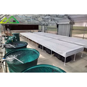 single span agricultural greenhouse small aquaponics system with customization aquaponic growing tower