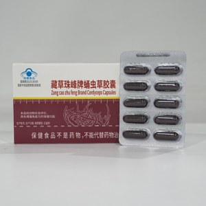 Cápsulas de Cordyceps de la Marca Zangcao Zhufeng |   Suplemento Natural para la Salud |   Apoyo Inmunológico |   Suplemento Dietético - Product Image 1