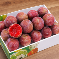 Plum Hitam Cina Kualitas Premium 10kg Pflaume Buah Segar Pemasok Ekspor
