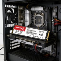 قرص صلب داخلي Great Wall GW1000 M.2 2280 PCIe SSD بتقنية 3D NAND TLC عالي السرعة 550 ميجابايت/ثانية سعة 2 تيرابايت للحواسيب المحمولة مع ضمان 5 سنوات ومعتمد من EMC وFCC وROHS