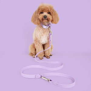 Laisse pour chien Josying, nouvelle conception, mains libres, en PVC, luxe, imperméable, multifonctionnelle - Product Image 2