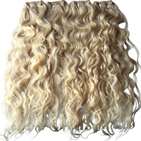 Extensions de cheveux humains indiens en lots avec closure, tissage de luxe à double trame, toutes couleurs disponibles, blond naturel Remy vierge