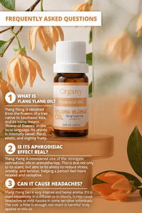 Factory Supply Bulk Ylang Ylang Essential <b>Oil</b> Cananga odorata Steam Distilled for Aromatherapy Cosmetics Skincare <b>Diffuser</b> - Product Image 3