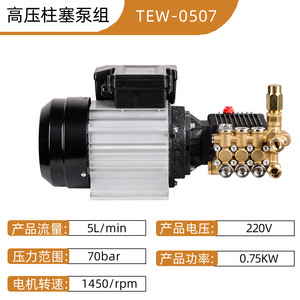ชุดหัวปั๊มฉีดน้ำแรงดันสูง Broad TeW0507 มอเตอร์เฟสเดียว ปั๊มลูกสูบ 1450 รอบต่อนาที ข้อต่อไฟฟ้าแบบตรง - Product Image 4