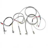 Sensor Resistor Platinum Akurasi Tinggi Premium PT1000 Termometer Resistansi Platinum Berpegas PT100 PT1000 Langsung dari Pabrik