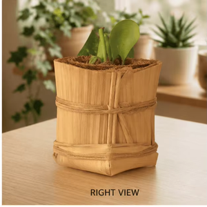 Carved Bamboo Chopstick Holder with Natural Texture Storage Rack Cute Kitchen Table Organizer for Home <b>Office</b> - Product Image 4