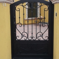 Petite porte de jardin en fer, design simple, porte simple en fer, entrée principale, porte de jardin en métal