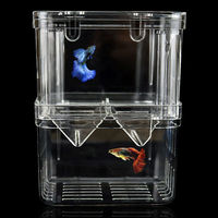 Boîte d'élevage de poissons d'aquarium Boîte d'isolation de poissons de réservoir Incubateur d'écloserie d'alevins en acrylique