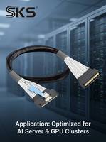 Cable de Datos Interno de Alta Velocidad SKS SKS-La1 Slimline SAS MCIO 124P 16X a MCIO 124P para Tarjeta NVMe RAID, 0.5m