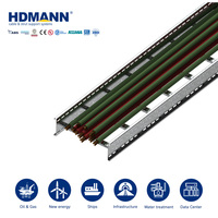 Échelle à câbles en acier au carbone galvanisé à chaud ultra-résistante Hdmann CE ISO certifiée 600 mm pour l'électricité des centrales nucléaires