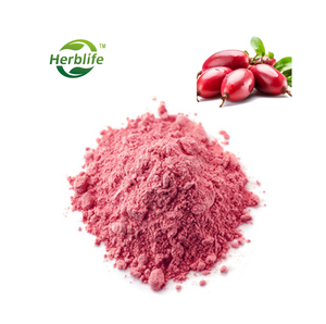 Poudre de <span class=keywords><strong>fruit</strong></span> miracle séchée par pulvérisation naturelle, extrait de jus de framboise Synsepalum Dulcificum - Product Image 2