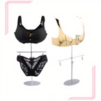Expositor de ropa interior para mujer, soporte de exhibición de sujetadores de alta gama para escaparates, modelo de lujo ligero con electrochapado.
