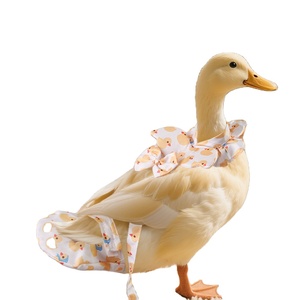Pañal <span class=keywords><strong>de</strong></span> caca <span class=keywords><strong>de</strong></span> pato pequeño, bolsa para orinar, correa <span class=keywords><strong>de</strong></span> pato, Cole pañal <span class=keywords><strong>de</strong></span> pato, correa <span class=keywords><strong>de</strong></span> ganso para mascotas, ropa - Product Image 1