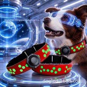 Collar para mascotas estilo princesa con iluminación LED de plástico, el más vendido transfronterizo, desmontable, con <span class=keywords><strong>grabado</strong></span> personalizable para <span class=keywords><strong>Airtag</strong></span> - Product Image 3