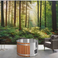 Bain à remous extérieur en cèdre au design moderne, style traditionnel pour 2 personnes