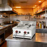 En stock: Freidora de gas de sobremesa con tanque doble de 14L+14L para patatas fritas, costillas de cerdo y pollo.