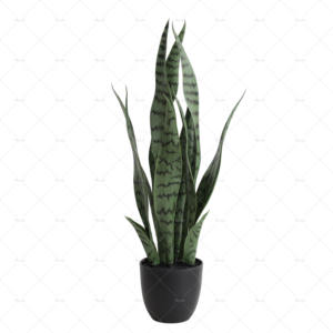 Plante serpent artificiel résistant aux UV | Usine directe | Faux <span class=keywords><strong>Sansevieria</strong></span> abordable pour la décoration intérieure et extérieure - Product Image 4