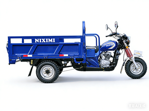 รถสามล้อบรรทุกหนัก NIXIMI 200CC CG200 สำหรับตลาดแอฟริกา รับน้ำหนักได้ 1000 กก. รถจักรยานยนต์สามล้อ NIXIMI - Product Image 5
