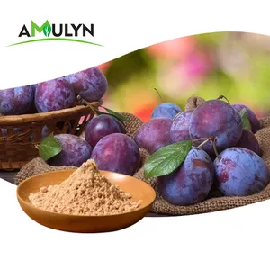 AMULYN Sour Plum Powder Instant Prunes extract dark sour plum juice powder