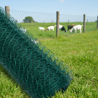 Grillage hexagonal tissé (fil de fer galvanisé) à mailles hexagonales, pliable pour cages, clôtures, gabions et enclos pour animaux