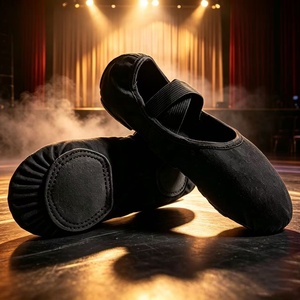 Chaussons de danse en toile hautement extensibles, noirs et marron, ballerines antidérapantes en maille pour filles et adultes - Product Image 1
