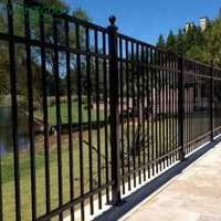 Clôture tubulaire standard OEM Offre Spéciale 6*8 pieds et conception de porte pour villa de maison de jardin mural