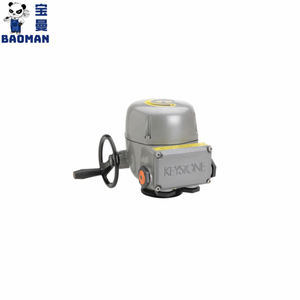 2 KPU250HVPD0P2U8 Actionneurs compacts et intelligents à quart de tour IP66/68M - Product Image 5