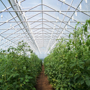 Quick-assembly Single-span Tunnel Greenhouse, Lightweight Durable Structure, All-climate Adaptive for Small-scale Planting - Product Image 3