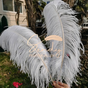 Plumas de Avestruz Naturales Blancas Grandes de 75-80cm, Plumas de Avestruz al por Mayor para Centros de Mesa de Bodas y Carnavales - Product Image 3