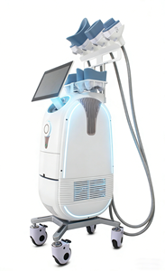 Macchina per Criolipolisi Dimagrante, Nuovo Modello 360 per Perdita di Peso, 4 Manipoli per Riduzione della Cellulite, Macchina per Congelamento del Grasso - Product Image 2
