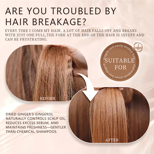 Commercio all'ingrosso di alta qualità per la cura dei capelli produttori di capelli naturali organici Anti-perdita Thuja Orientalis estratto <span class=keywords><strong>in</strong></span> <span class=keywords><strong>polvere</strong></span> <span class=keywords><strong>Shampoo</strong></span> a base di erbe - Product Image 4