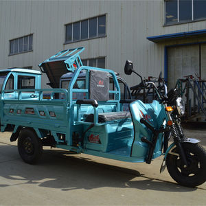 <span class=keywords><strong>Piaggio</strong></span> Ape Elettrico Open Body Rickshaw Truck Furgone per Alimenti e Trasporto Merci con Carico Utile di 400kg, Batteria 60V, Autonomia 30-50km, Potenza 800-1000W - Product Image 5