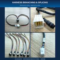Kabel Harness Konduktor Aluminium Kustom Berinsulasi PBT 5-32 AWG dengan Konektor Adaptor untuk Penggunaan Elektronik & Komputer, Berperingkat IP66