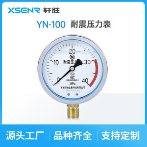 เกจวัดแรงดันทนแรงกระแทก Suzhou Xuansheng Yn100 40Mpa  ตัวเรือนสแตนเลส  ข้อต่อเกลียว  เส้นผ่านศูนย์กลาง 100 มม. - Product Image 2