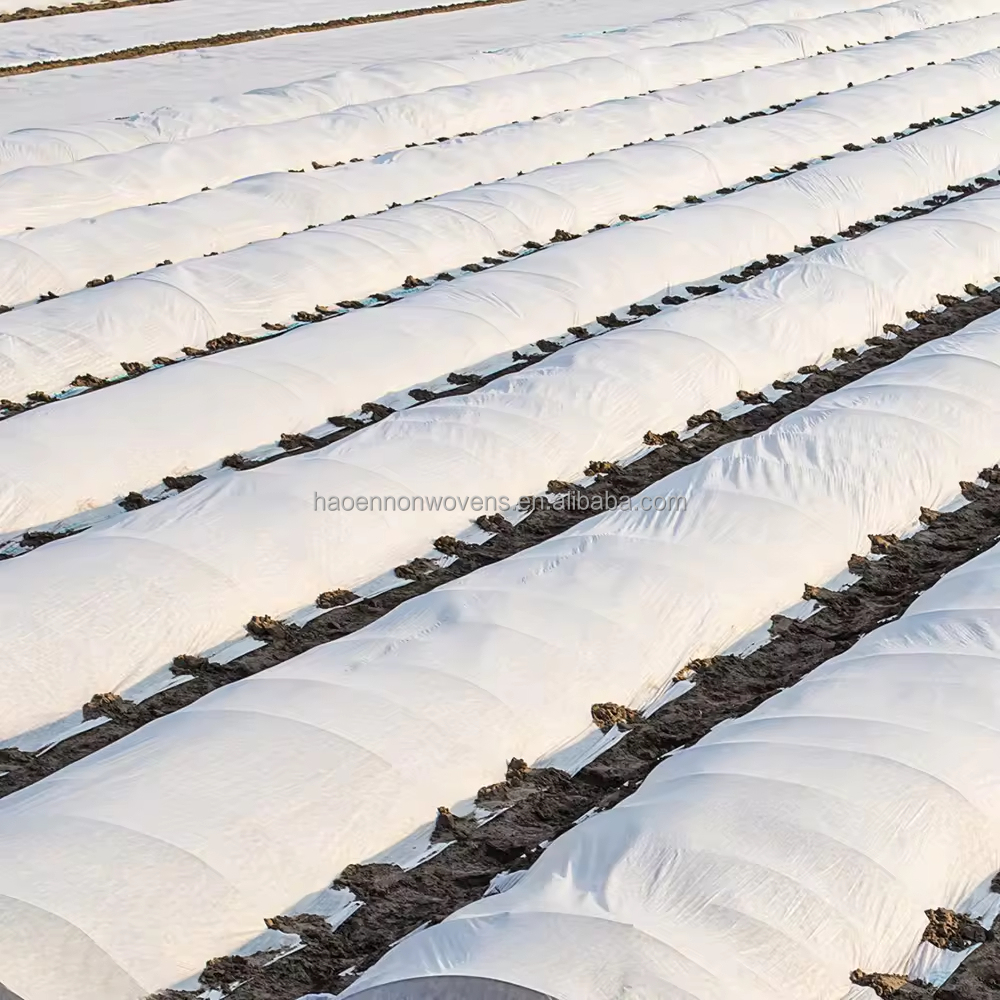 non woven fabric 18gsm