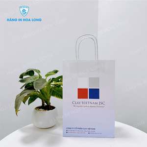 Bolsa de Papel Kraft Ecológica con Logotipo Personalizado, Bolsa de Compras, Fabricante y Proveedor OEM de Vietnam - Product Image 3