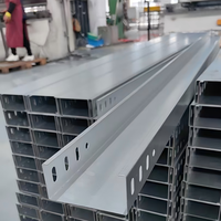 Goulotte de câblage ventilée/perforée en acier au carbone galvanisé avec taille OEM pour câblage d'ingénierie