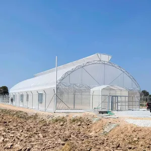 MYXL Commercial UV Plastic Low Cost Single-Span Agricultural Greenhouses Plastic Film