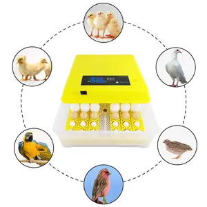 Incubadores de ovos totalmente automáticos, incubadora para ovos frango